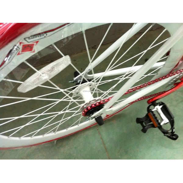 Customized CE Hi-Ten Steel Frame 700C Single Speed Fixed Gear Bike for Boys