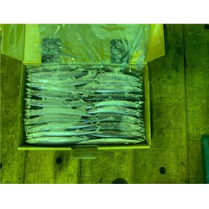 High Protein Block Quick Frozen #3 Pacific Saury Fish