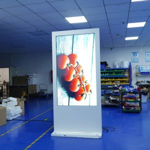Waterproof Hotel Digital Signage Freestanding Digital Display 3000cd Brightness
