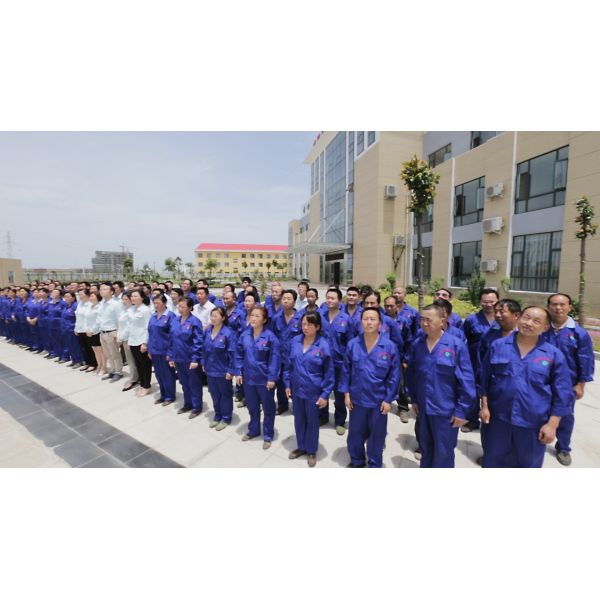 MBBR Mobile Wastewater Treatment Plant Domestic Effluent Treatment Plant