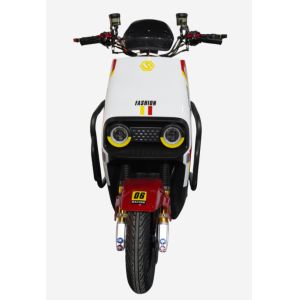 LY-ML300Electric motorcycle