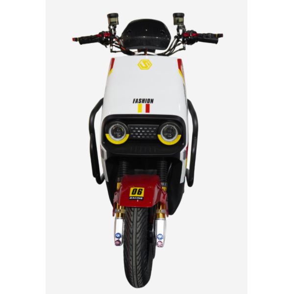 LY-ML300Electric motorcycle