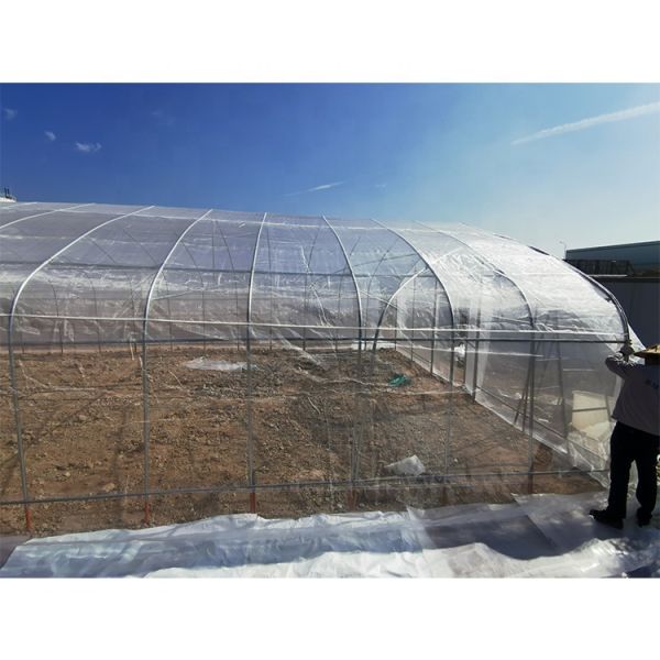 5m Height Mushroom Growing Greenhouse Plastic Mesh For Insect Resistance And Roof Ventilation
