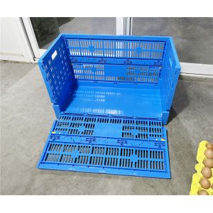 Foldable Mesh Crates and Egg Plastic Boxes for Convenient Egg Transportation