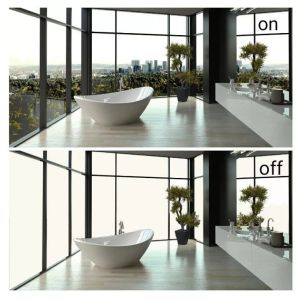 ISO9001 2mm 2000 Micron Switchable Transparent Film