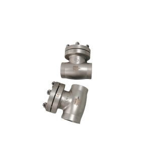 DN40 Stainless Steel Cryogenic Check Valve for LNG