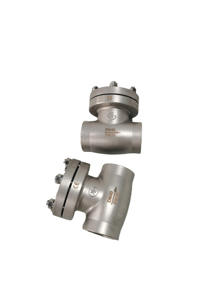 Buy DN40 Stainless Steel Cryogenic Check Valve for LNG at wholesale prices