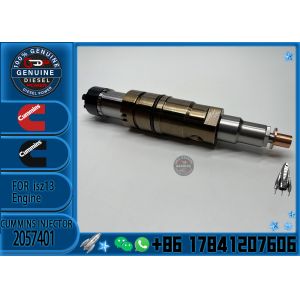 912628 Diesel Engine Common Rail Fuel Injector 2057401 For Cum-mins SCANIA