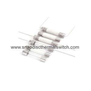 Wide Temperature Euro 5 * 20 Mm Glass Tube Fuse For Loudspeaker