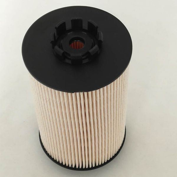 Engine Parts Element Fuel Filter 10289138 PU10008X SN70316 FF5629