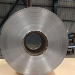 ASTM Standard Tinplate Steel Coil 0.2*1250mm 0.258*1250mm 0.3*1250mm