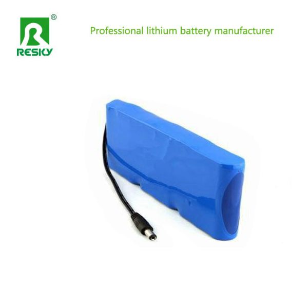 Electric Cargo Lithium ion Batteries 13s4p 48V 10.4ah 350W