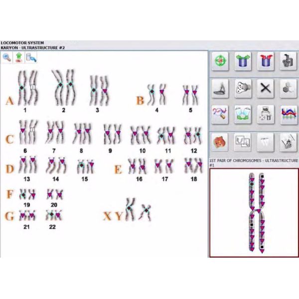 Metatron hunter 4025 with german software