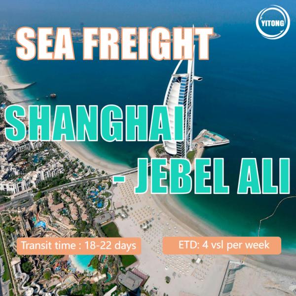 Buy Sea Cargo From Shanghai To Jebel Ali, UAE at wholesale prices