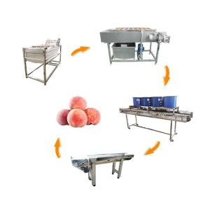 Hot selling Customized Drying Machine Fruit And Vegetable Washing Line by