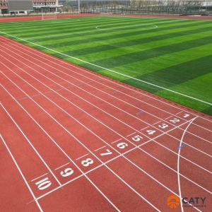 IAAF Certified Prefabricated Running Track Rubber Jogging Track EPDM Particles