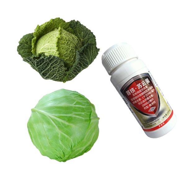 Biological Agriculture Chemical Pesticides Used In Crops Nuclear Polyhedrosis Virus AcNPV