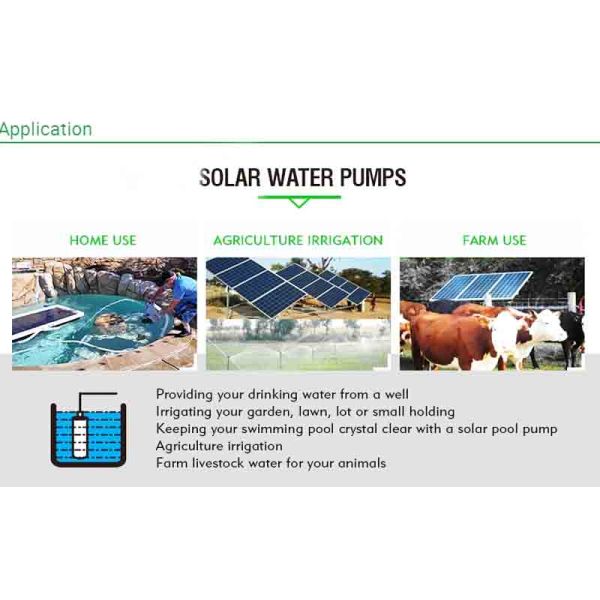 DC Stainless Steel 304 Submersible Solar Borehole Pumps For Agriculture