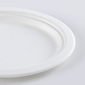 Biodegradable Sugarcane Pulp Party Dinnerware Plate Sugarcane Bagasse Paper