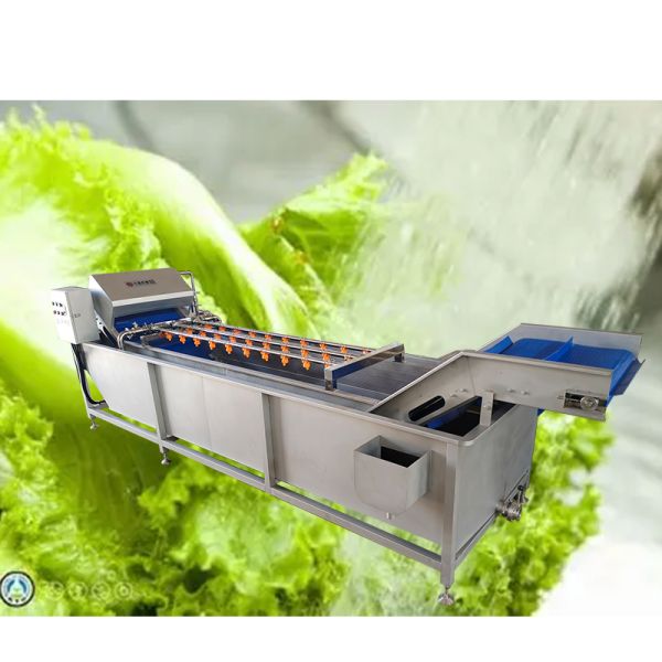 Belt Type 2T/H Vegetable Fruit Washing Machine High Pressure Spray Washing Machine