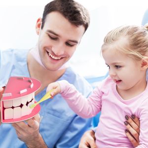 Tooth Brushing Montessori Homeschool Educational Toys For Toddlers