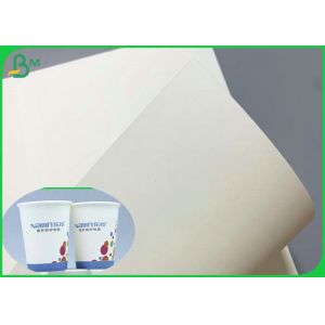 SGS Certificated 230g 260g PE Coated Cupstock Base Paper 850mm Roll