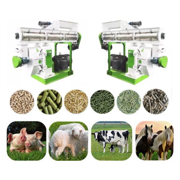 Buy Sheep Livestock Pellet Production Machine Siemens Motor SKF Bearing Ring Die at wholesale prices