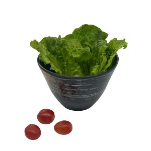 Restaurant Salad Melamine Bowl Plates Dinnerware With Bevel Shape