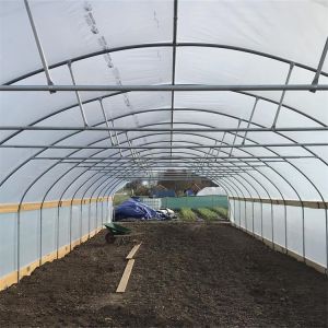 Agricultural High Hoop Arch Polyethylene Film Greenhouse For Planting