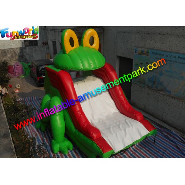 Customized Frog Commercial Inflatable Slide , Dry Slide For Pool Use