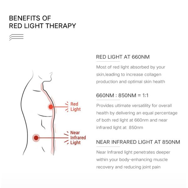 600W Red Light Therapy Panels Half Body 660nm 850nm Led Infrared
