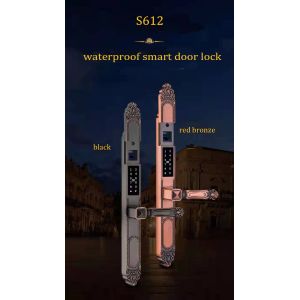 Multi-function Zinc Alloy Outdoor Door Lock with Double Side Fingerprint and