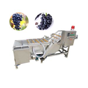 Chillies Stem Automatic Clothes Wash Brush Making Machine Zhengzhou