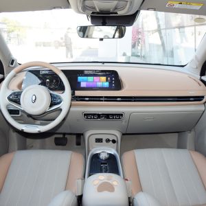 hot-selling 2022 Euler the good cat new energy car Pure electric 143 horsepower