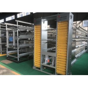 China Industrial Manure Removal Equipment Chicken Farm Machinery Easy To Operate on sale