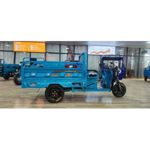72V Electric Delivery Trike Truck Utility Cargo Tricycle Electric