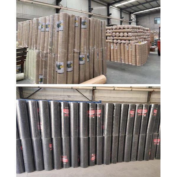 6X6 4ftx8FT Galvanized Welded Wire Mesh Panel and Grills/Welded-Wire-Mesh