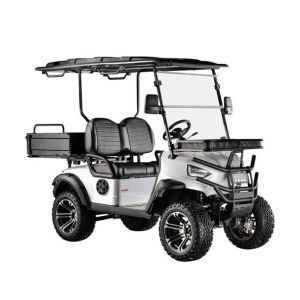 China Support Customized Two-Seater Cargo Truck 4kw Aluminum Alloy Carbon Steel Plastic Rear Bucket on sale