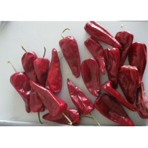 Organic Yidu Chilli Red Pepper Beijinghong Jinta Chilli 10 Cm 12% Moisture