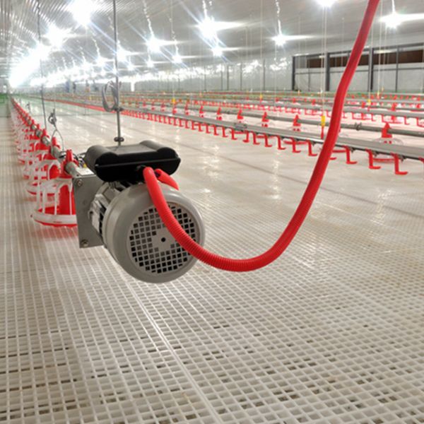 Buy Farm Closed House Ground Plastic Slats For Poultry at wholesale prices