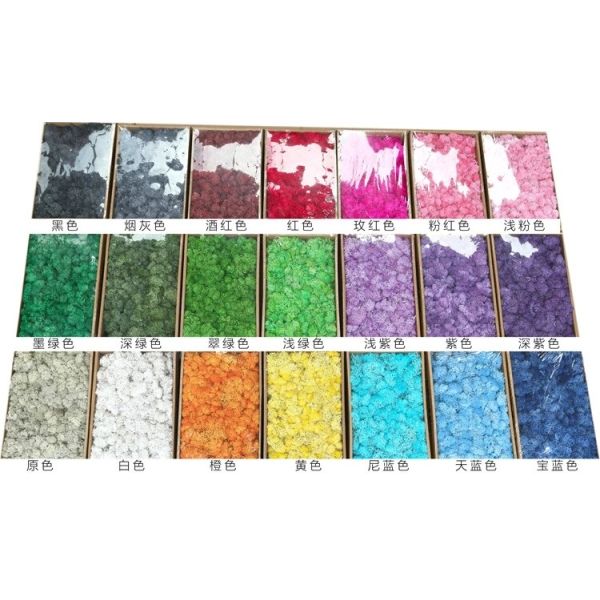 Soft Touch Preserved Moss Real Fresh Moss For Wall Decoration