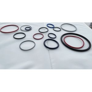 Quality Temperature Encapsulated O Rings for Hole and Oil Sealing for sale