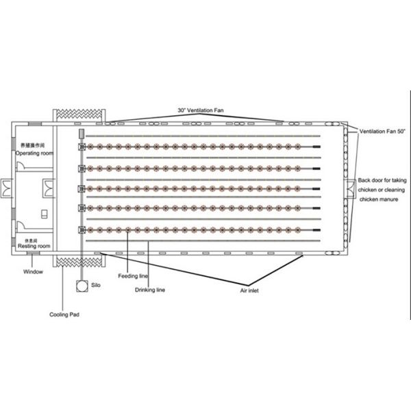 220v Electricity Hen Farm House Broiler Poultry Equipment