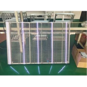 High Brightness High Transparency P10.42 Transparent Glass LED Display Screen