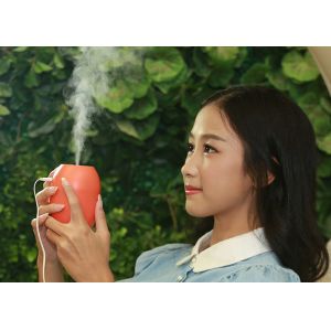 lemon design mini homemade humidifier air cleaner mist spray to moisture skin