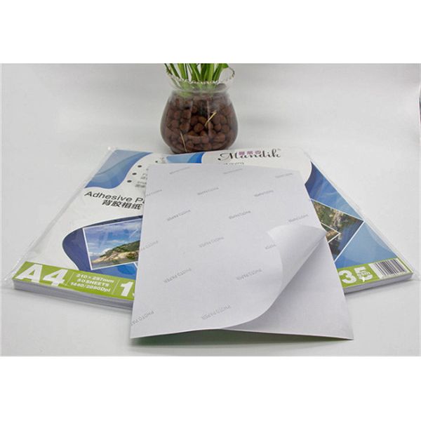 Back Glue Self Adhesive Sticker Paper
