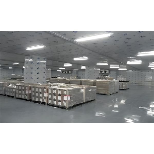 10m3 - 100m3 Industrial Cold Room Freezer Polyurethane Insulating Cold Storage