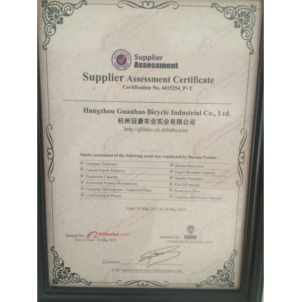 Vintage CR-MO Steel 4130 Lady Women Girl Inner 3 Speeds City Bike for Europe Market