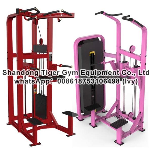 Buy Gym Fitness Equipment Assist Dip Chin exercise machine at wholesale prices