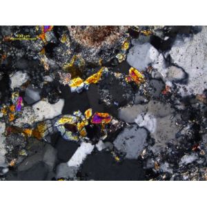 Objective Transmitting Laboratory Polarizing Microscope LED Light Source